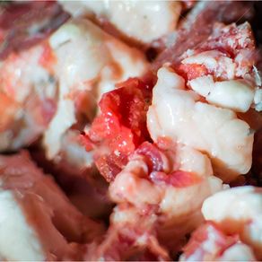 Hueso-Aufilia-para-Mascotas-x-kg-1-1457