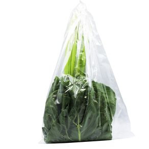 Acelga-Importada-Impex-1-1559