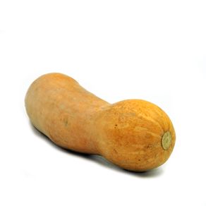 Calabacin-Abasto-1-1595