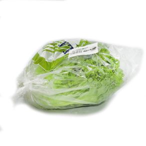 Lechuga-Crespa-Abasto-1-1617