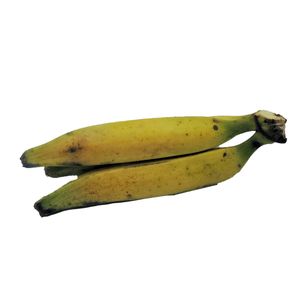 Platano-de-Freir-Olivos-1-1620