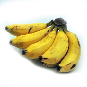 Guineo-Olivos-1-1624