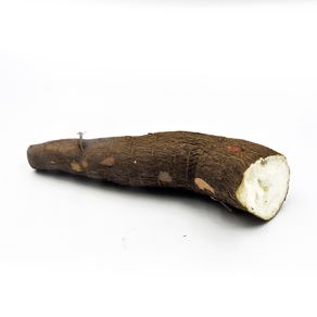 Yuca-Comun-Olivos-1-1626