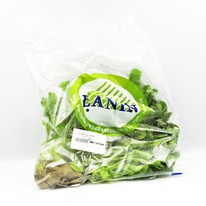 Rucula-Lannin-Impex-1-1691