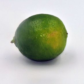 Limon-San-Rafael-Abasto-1-1693