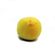Limon-Sutil-Abasto-1-1694