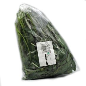 Quilquina-Impex-1-1569