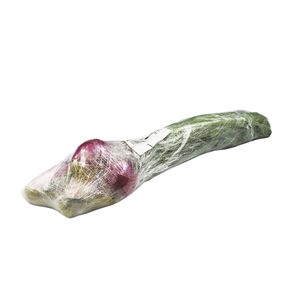 Cebolla-Verde-Abasto-1-1594