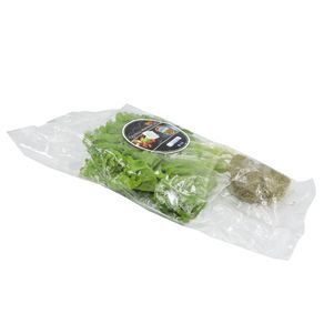 Lechuga-Crespa-Hidroponica-Quinta-Manantial-1-1536