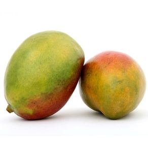 Manga-Manzana-Olivos-1-1622